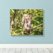 14x11 Schlampe Leinwanddruck (Insitu (Holzboden))