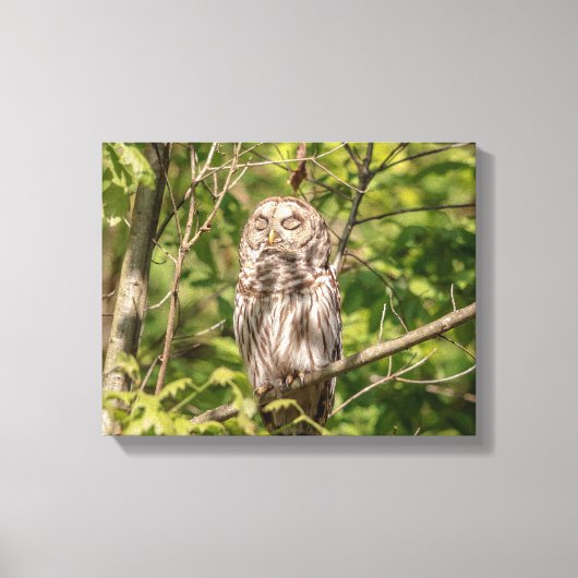 14x11 Schlampe Leinwanddruck (Vorderseite)