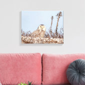 14x11 Schneeeule am Strand Leinwanddruck (Insitu (Wohnzimmer))