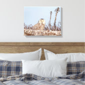 14x11 Schneeeule am Strand Leinwanddruck (Insitu (Schlafzimmer))