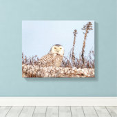 14x11 Schneeeule am Strand Leinwanddruck (Insitu (Holzboden))