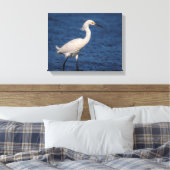 14x11 Snowy Egret am Nordstrand Leinwanddruck (Insitu (Schlafzimmer))