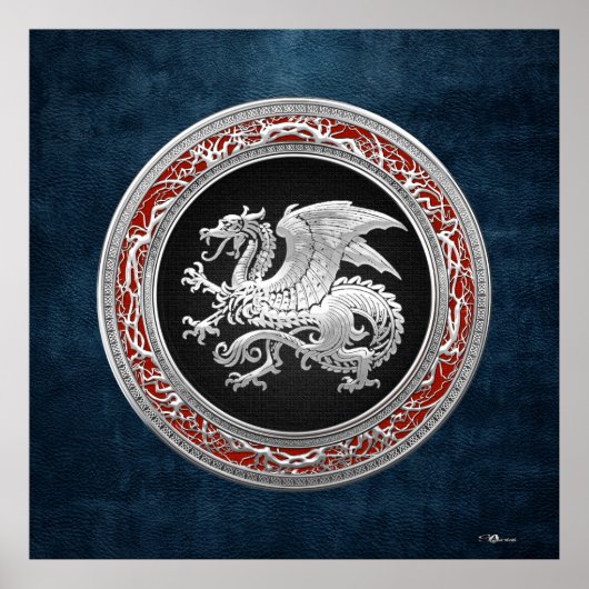 [150] Isländischer Drache, Landvættir [Silber] Poster (Vorne)