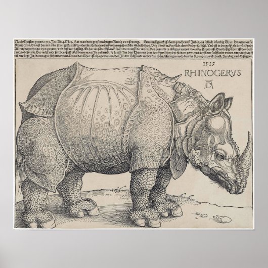 1515 DURER-RHINOCERUS POSTER (Vorne)