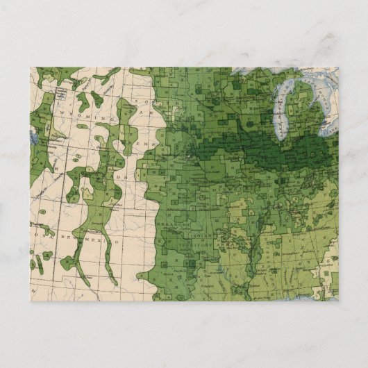 155 Mais/Acre Postkarte (Vorderseite)