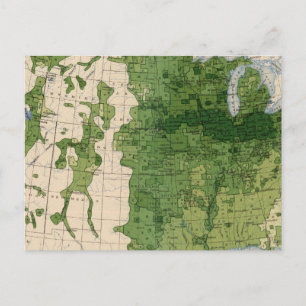 155 Mais/Acre Postkarte