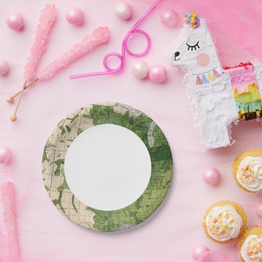 155 Mais Pappteller (Party)