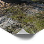 15693-RA Cowboy Poster (Ecke)