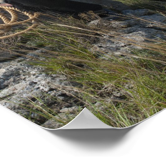 15693-RA Cowboy Poster (Ecke)