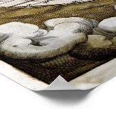 1570 Karte der Welt Poster (Ecke)