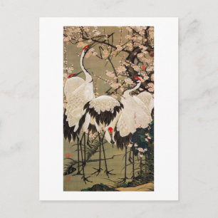 15. 梅 花 群 図, 若 冲 Pflaumenblüten & Krane, Jakuchū Postkarte