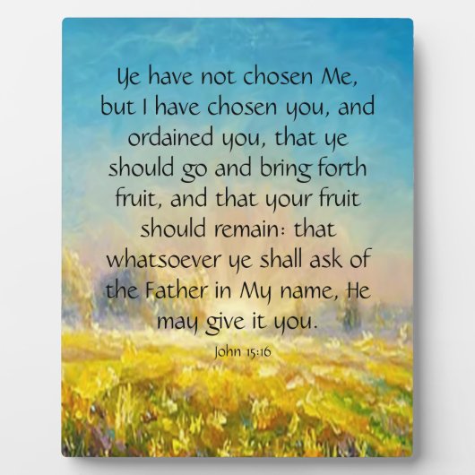 15:16 FOTOPLATTE (Vorderseite)