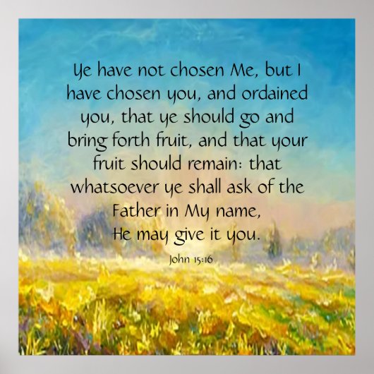 15:16 POSTER (Vorne)