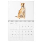 15 2016 seidener Windhounds Kalender (Feb 2027)
