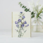 15:Campanula: Mittel 1787 Postkarte (Stehend Vorderseite)