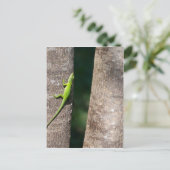 15 Minuten.JPG Postkarte (Stehend Vorderseite)