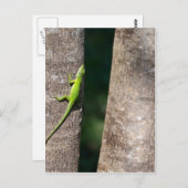 15 Minuten.JPG Postkarte (Vorne/Hinten)