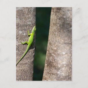 15 Minuten.JPG Postkarte