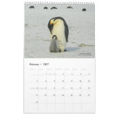 15-monatiger Pinguinkalender mit Beschreibung 2025 Kalender (Feb 2027)