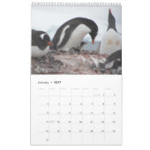 15-monatiger Pinguinkalender mit Beschreibung 2025 Kalender (Jan 2027)
