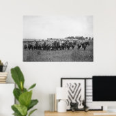 15. U.S. Cavalry Band, Anfang des 20. Jahrhunderts Poster (Heimbüro)