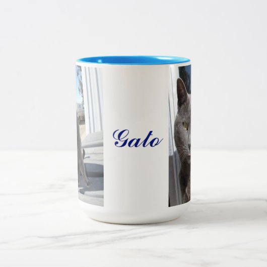 15 Unze. Katzen-Tasse Zweifarbige Tasse (Mittel)