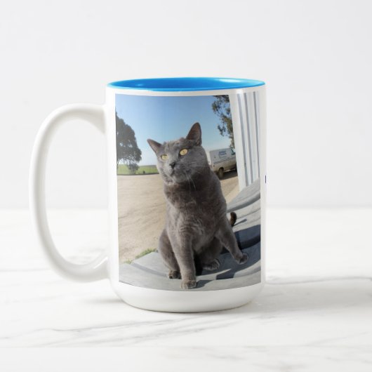 15 Unze. Katzen-Tasse Zweifarbige Tasse (Links)