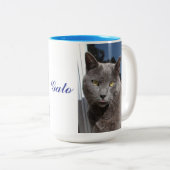 15 Unze. Katzen-Tasse Zweifarbige Tasse (VorderseiteRechts)