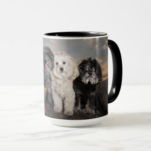 15 Unze-Tasse - PBJ Satz Tasse (VorderseiteRechts)