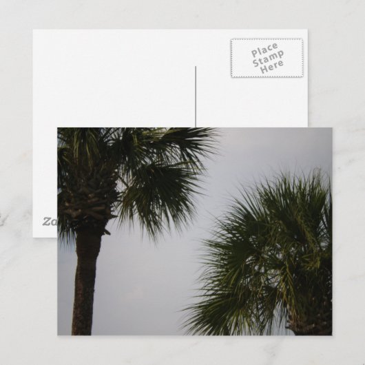 160 lpn postkarte (Vorne/Hinten)