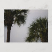 160 lpn postkarte (Vorderseite)