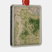 160 Rye/sq Meile Silbernes Ornament (Rechts)