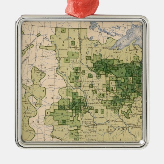 160 Rye/sq Meile Silbernes Ornament (Vorne)
