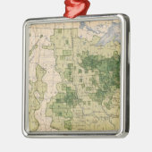 160 Rye/sq Meile Silbernes Ornament (Links)