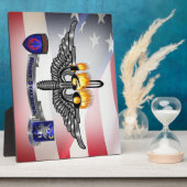 160. Special Operations Aviation NIGHT STALKERS Fotoplatte (Seite)