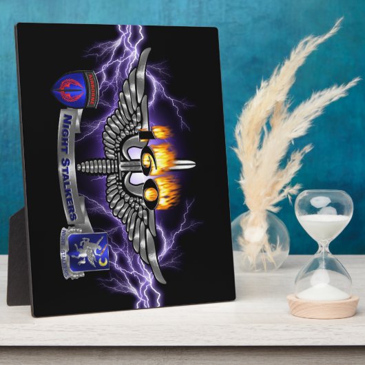 160. Special Operations Aviation NIGHT STALKERS Fotoplatte (Seite)