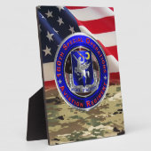 160. Special Operations Aviation NIGHT STALKERS Fotoplatte (Seite)