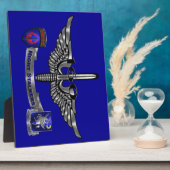 160. Special Operations Aviation NIGHT STALKERS Fotoplatte (Seite)