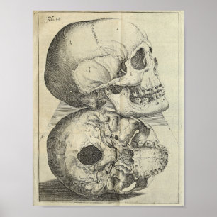 1616 Vintage Schädel Anatomie Druck Poster