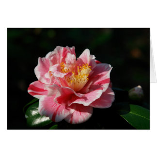 167 - Maßgeschneidert