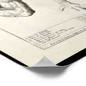 1691 Artistische Anatomie Armmuskeln Art Print Poster (Ecke)