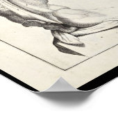 1691 Künstlerische Anatomie Rückmuskeln Kunst druc Poster (Ecke)