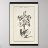 1691 Künstlerische Anatomie Skeleton Art Print Poster (Vorne)