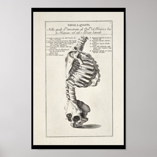 1691 Künstlerische Anatomie Skeleton Pinakothek Pr Poster (Vorne)