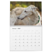 16 2016 seidener Windhounds Kalender (Jan 2027)