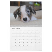 16 2016 seidener Windhounds Kalender (Mär 2027)