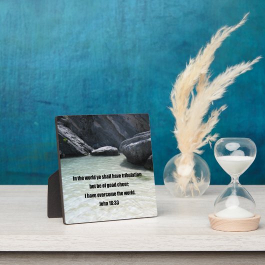 16:33 FOTOPLATTE (InSitu)