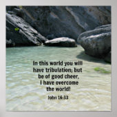 16:33 POSTER (Vorne)