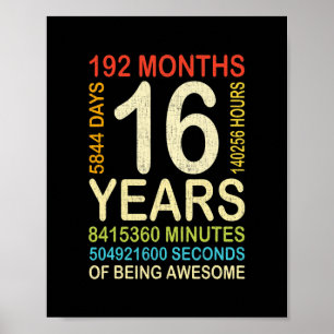 16. Geburtstag 16 Jahre alter Vintager Retro 192 Poster