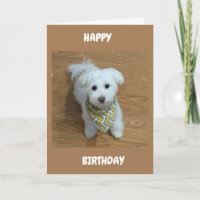 ***16. GEBURTSTAG****BALD EIN NEUER TREIBER!